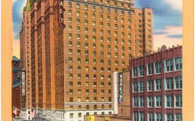 Luxury and Comfort at Hotel Victoria Zimbabwe: Your Premier Stay Destination