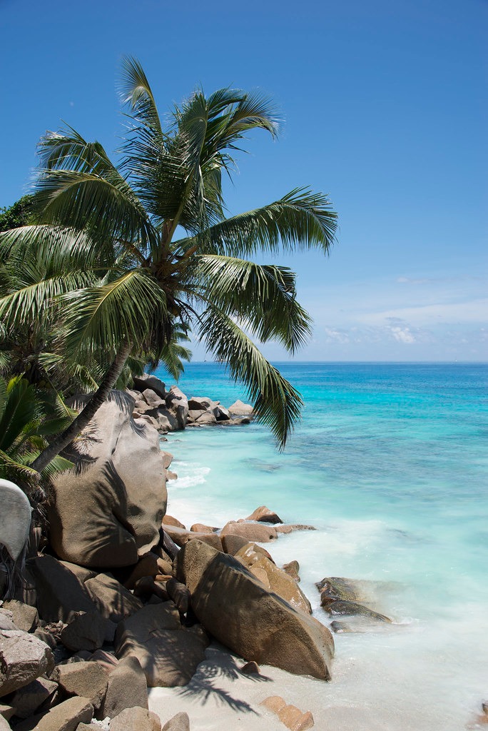hotels_la_digue_seychelles_(33).jpeg