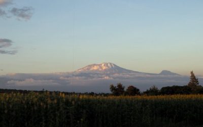 Mount Kilimanjaro in Tanzania reaches a height of 19,341 feet (5,895 meters) above sea level