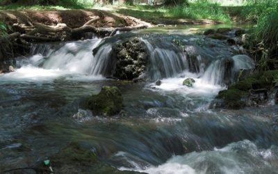 Exploring the Beauty and Attractions of Ifrane, Morocco