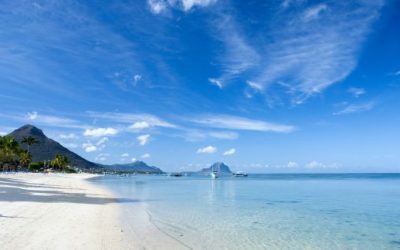 Opportunities and Insights into Finding a Job in Mauritius