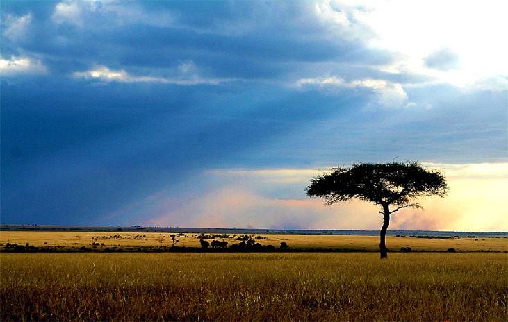 Kenya Airways Announces New International Routes to Expand Global Reach