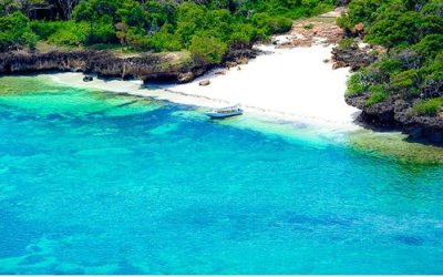 Discover the Stunning Beauty of Kenya’s Pristine Beaches