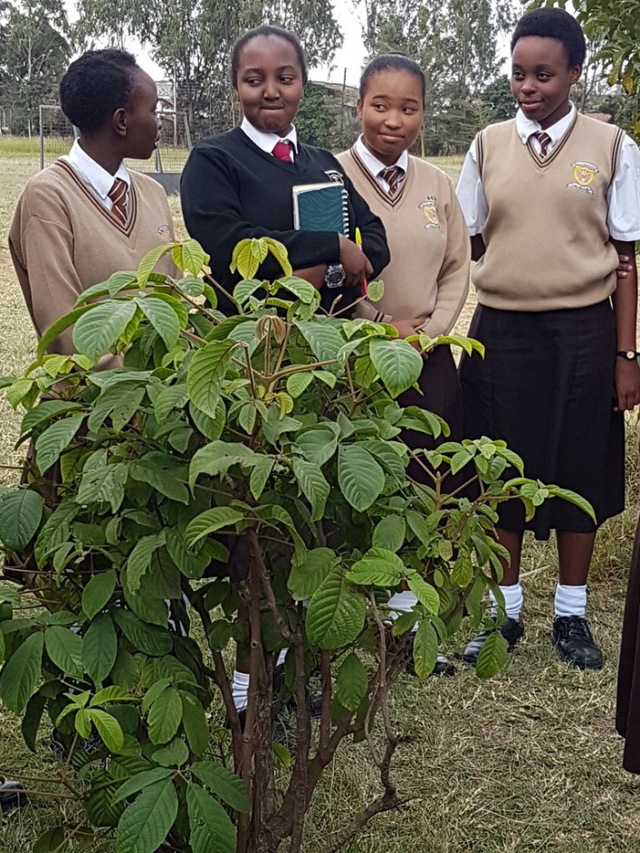 kenya_country_code_(57).jpeg