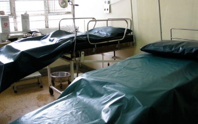 Kenya’s Latest Developments and Main Headlines in Current News