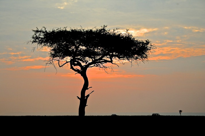 kenya_drake_(22).jpeg