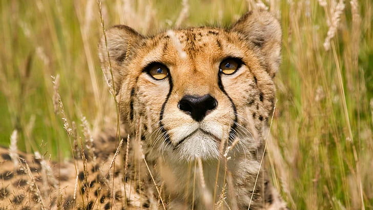 Luxury and Adventure Converge at the Kenya Fairmont Mara Safari Club