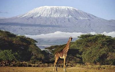 Current Weather Conditions and Climate Guide for Kilimanjaro, Tanzania