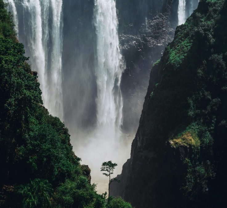 Experience luxury and natural beauty at Kingdom Hotel Victoria Falls in Zimbabwe