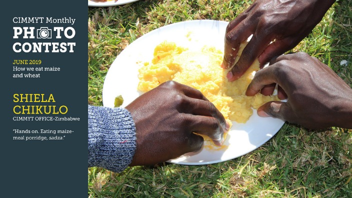 Exploring the Diversity and Significance of Language in Zimbabwe