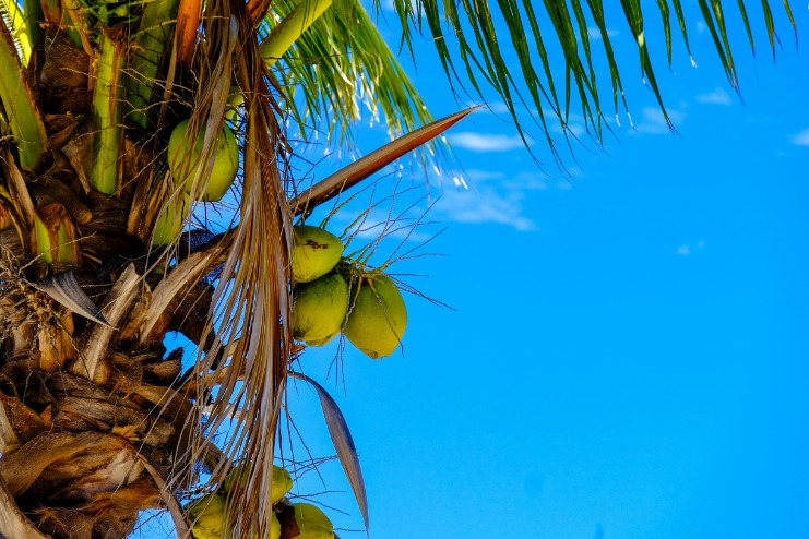 Traveling from LAX to Mauritius: Your Ultimate Guide to a Paradise Escape