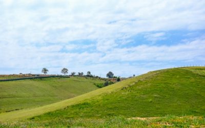 Lesotho and Morocco Face Off in a Critical Football Clash