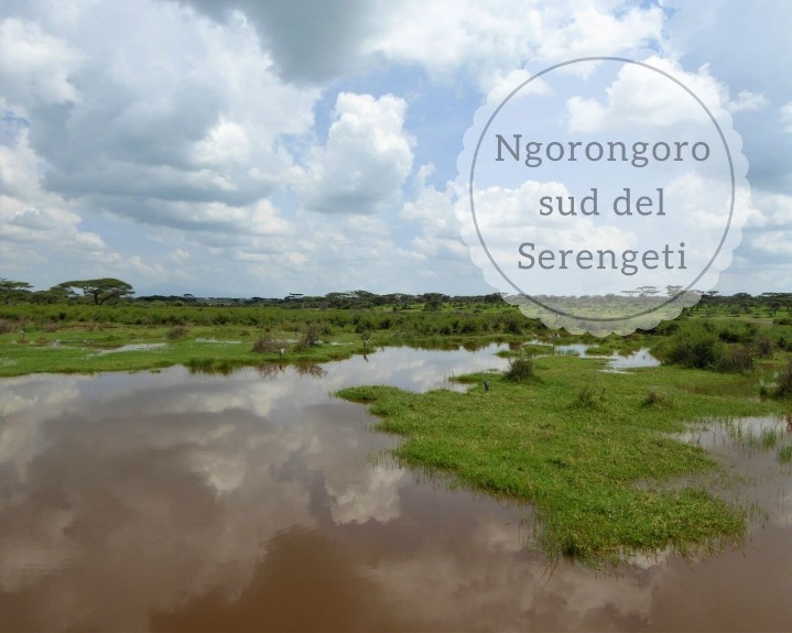 Experience the Ultimate Safari Adventure at a Lodge in Tanzania’s Serengeti