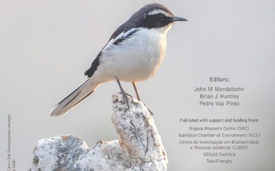 Exploring the breathtaking coastal beauty of Luderitzbucht in Namibia