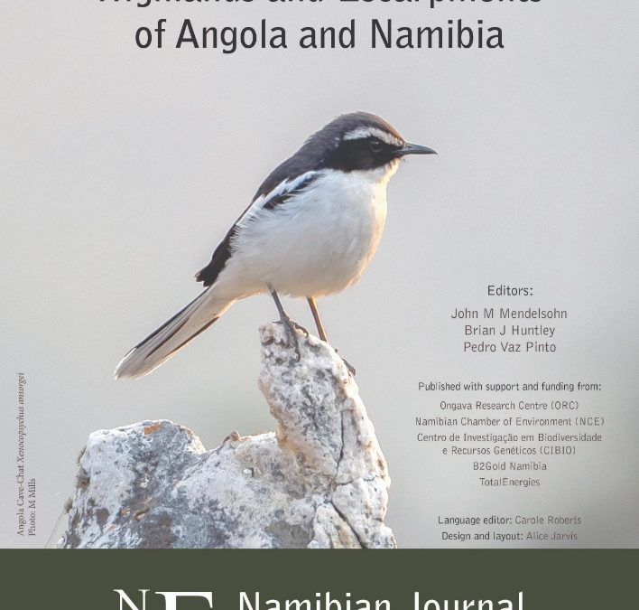 Exploring the breathtaking coastal beauty of Luderitzbucht in Namibia