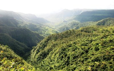 Discover Affordable and Reliable Maki Car Rental Services in Mauritius