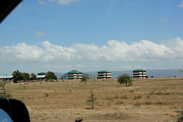Exploring the Stunning Beauty and Unique Ecosystem of Manyara Lake in Tanzania