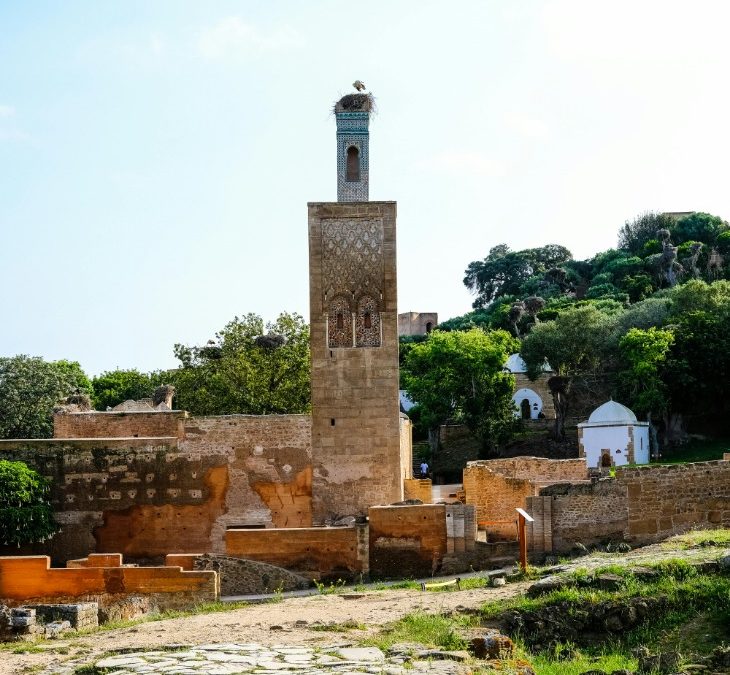 Exploring the vibrant culture and unique attractions of Moroccan cities