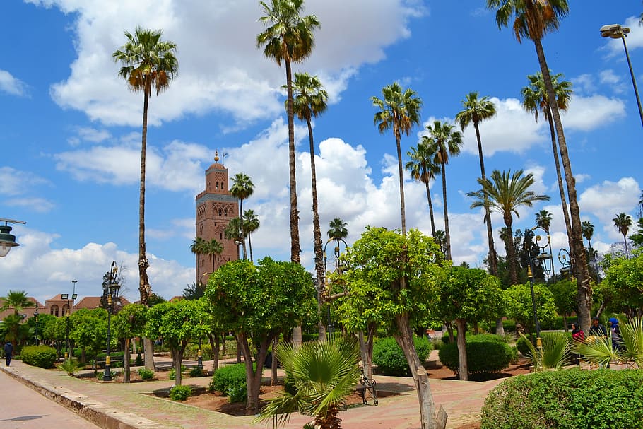 morocco_country_code_(44).jpg