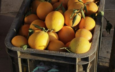 Discover the Best Moroccan Food Near You for an Authentic Culinary Experience
