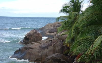 Discover the Stunning Beauty of Moyenne Island in Seychelles