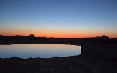 Explore the Majestic Landscapes and Unique Wildlife of Namib Naukluft Park in Namibia