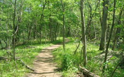 Namibia: Exploring the Diverse Landscapes and Rich Cultural Heritage of a Unique Country