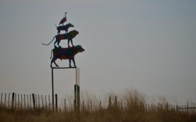 Namibia Airport Company announces expansion plans to boost regional connectivity