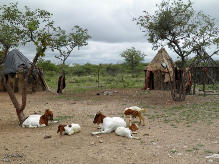 Discover the Top Luxury Lodges in Namibia for an Unforgettable Safari Experience