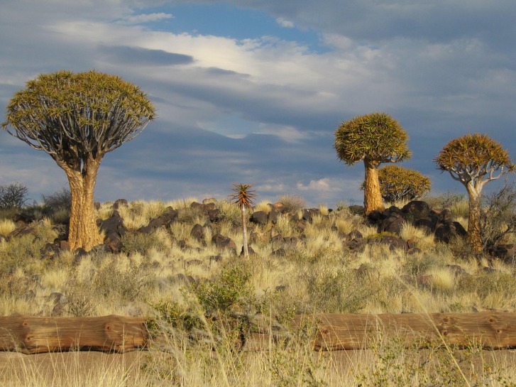 Understanding the Namibia Country Code: A Guide for International Communications