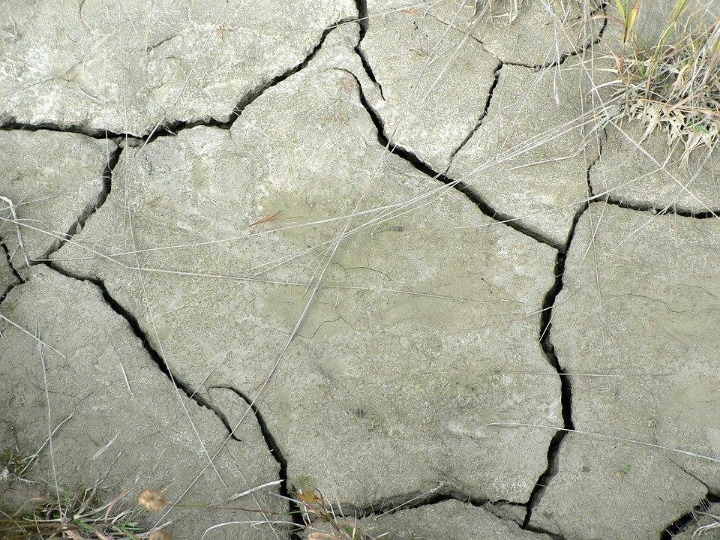 Namibia faces severe drought as water scarcity worsens across the country