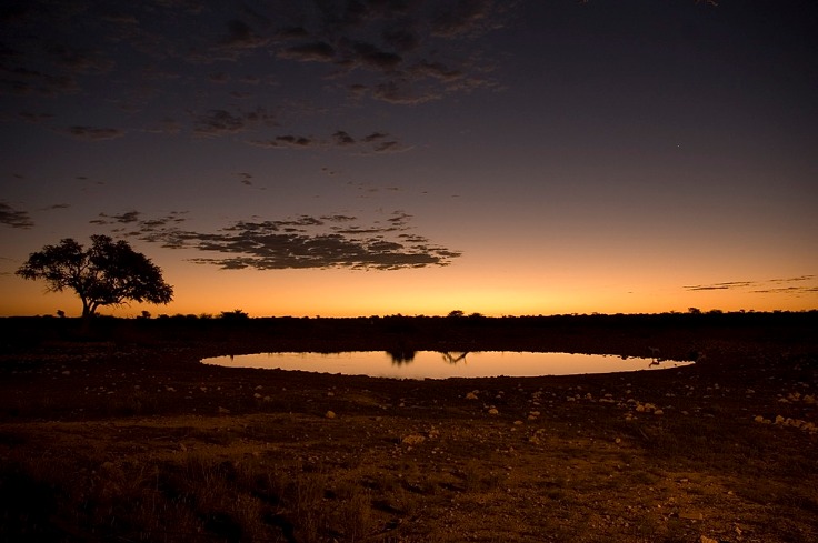 Experience Unmatched Wildlife Adventure at Namibia’s Etosha Safari Camp