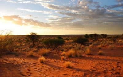 Exploring the Meaning and History Behind Namibia’s Flag
