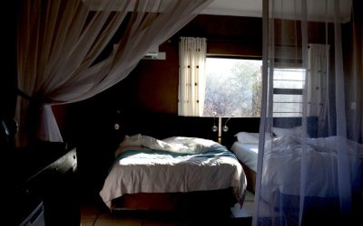 Top Luxury and Budget Hotels to Stay in Namibia