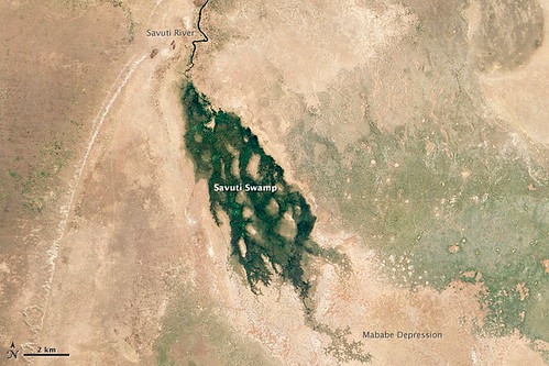 namibia_hunting_(9).jpeg
