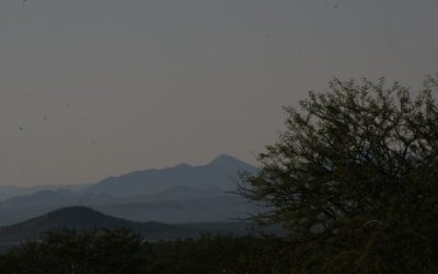 Discover Luxury and Adventure at premier Namibia Hunting Lodge Experiences