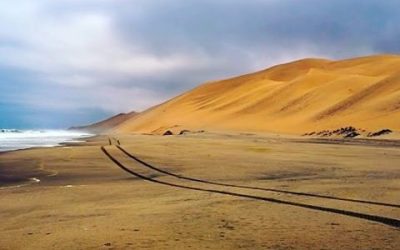 Discover the Wonders of Namibia: Africa’s Stunning Desert and Wildlife Destination
