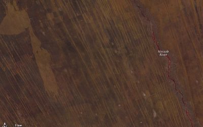 Namibia: A Unique Country Located in Southern Africa
