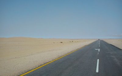 Top Opportunities and Career Trends in Namibia Jobs for 2024