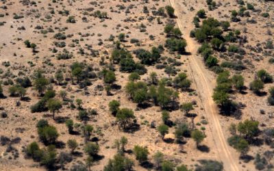 Discover the Stunning Diversity of Namibia’s Unique and Breathtaking Landscape