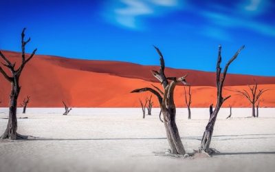 Exploring the Diverse Languages of Namibia: A Rich Tapestry of Cultures