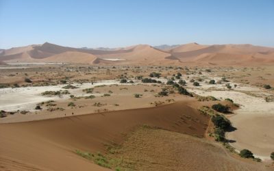 Experience Namibia’s stunning landscapes firsthand with live camera feeds showcasing the country’s scenic beauty