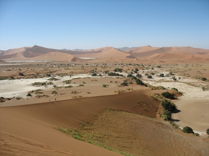 Experience Namibia’s stunning landscapes firsthand with live camera feeds showcasing the country’s scenic beauty