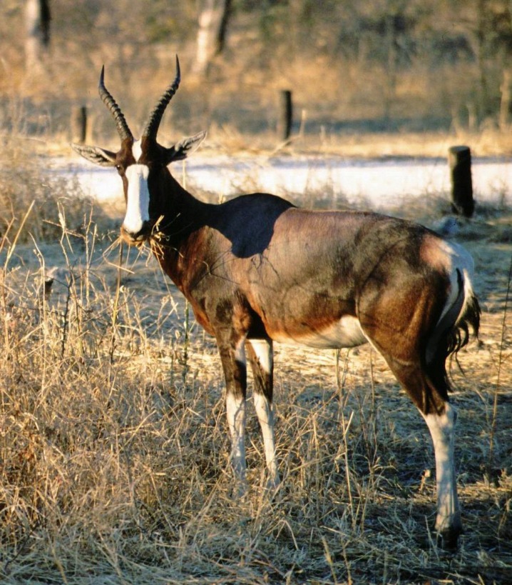 namibia_lodges_(10).jpeg