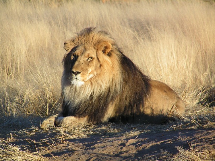 namibia_national_park_(29).jpeg