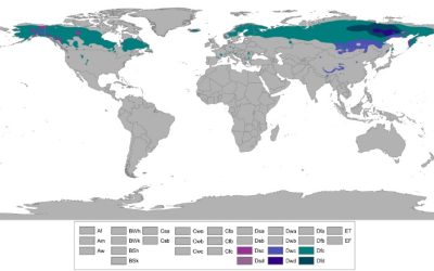 Namibia’s Place on the World Map: A Unique African Destination