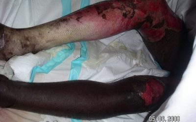 Latest Developments and Headlines in New Zimbabwe News