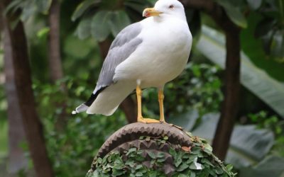 Latest News in Tanzania: Key Developments and Updates Today