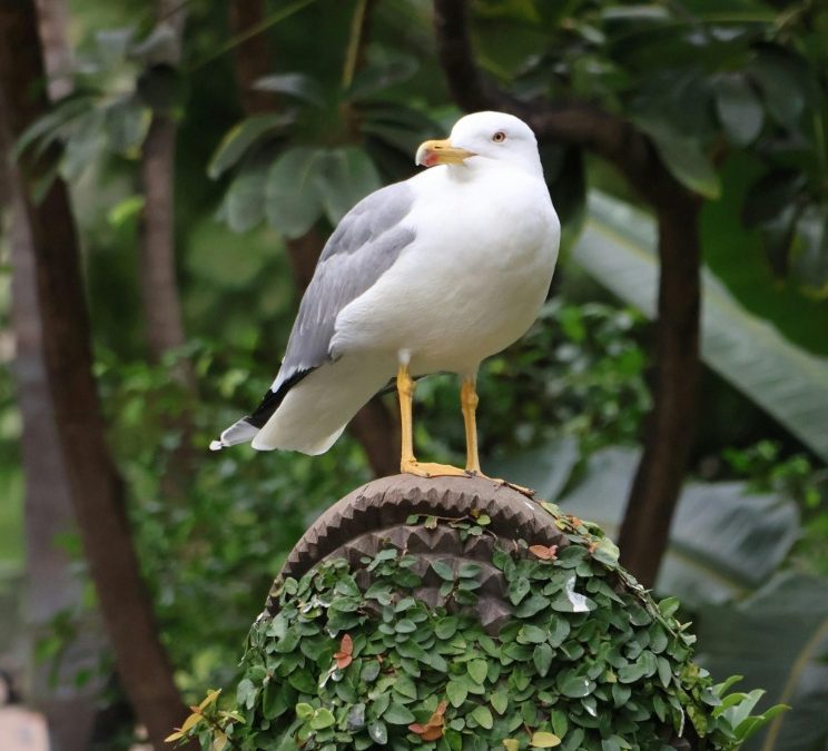 Latest News in Tanzania: Key Developments and Updates Today