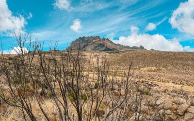 Stunning Pictures of Mount Kilimanjaro in Tanzania Capture Its Majestic Height